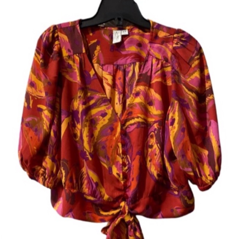 NWOT Joie Parsley Ballon VNeck Waits Tie Cropped Blouse Size M